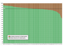 Proportion of Patients with Medical Attention for Nephropathy