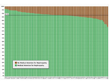 Proportion of Patients with Medical Attention for Nephropathy