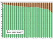 Proportion of Patients with Medical Attention for Nephropathy