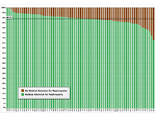 Proportion of Patients with Medical Attention for Nephropathy