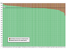 Proportion of Patients with Medical Attention for Nephropathy